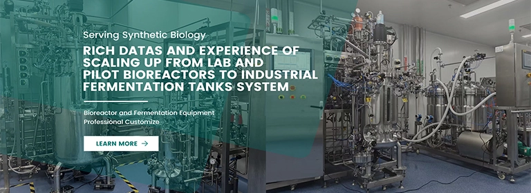 Serving Synthetic Biology, Rich Datas and Experience of Scaling up from Lab and Pilot Bioreactors to Industrial Fermentation Tanks System