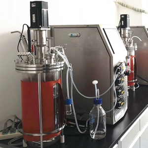 Glass Bioreactor