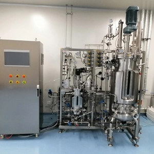 Stainless Steel Bioreactor