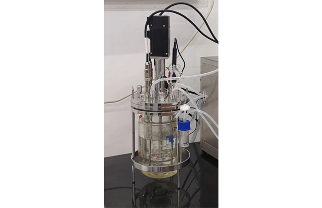 benchtop glass bioreactor