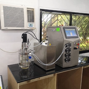 Double Single-Wall Glass Bioreactor