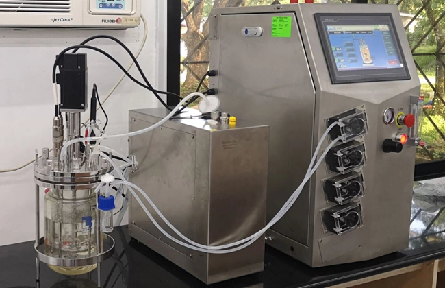 applikon glass bioreactor