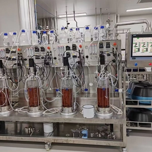 Lactobacillus Glass Bioreactor