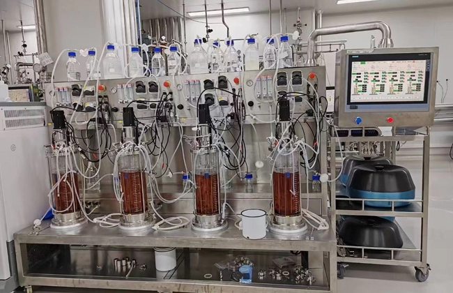 benchtop glass bioreactor