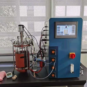 Mechanical Mixing Glass Bioreactor