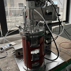 Mechanical Stirring Glass Bioreactor