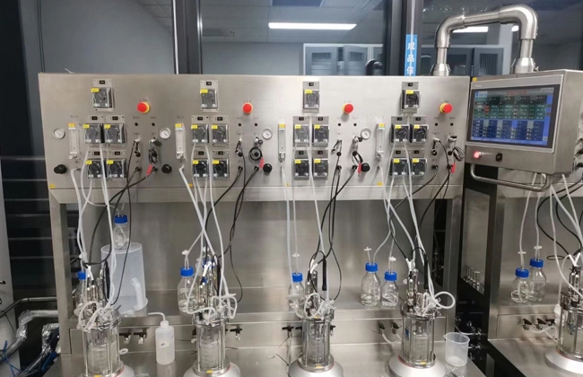 applikon glass bioreactor