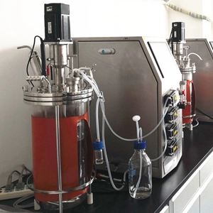 Single Wall Glass Bioreactor (Electric Heat)