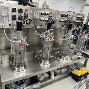 Sterilizing-In-Situ Magnetic Mixing Glass Bioreactor