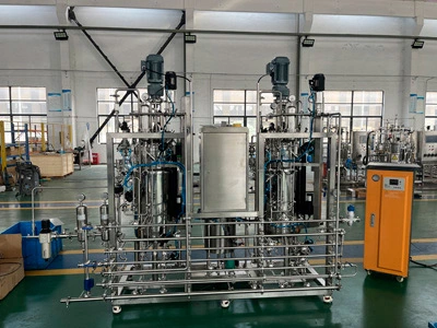 100l 100l bioreactor fermtner turkey