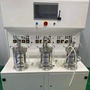 3 Union Mechanical Agitation Glass Bioreactor (Off-Site Sterilization)