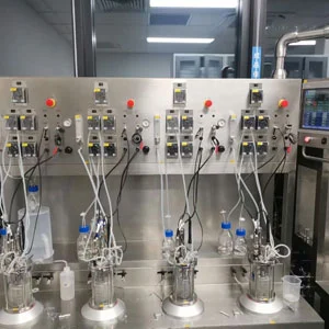 4 Union Mechanical Agitation Bioreactor (In Situ Sterilization)