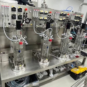 Multiple Union Glass Bioreactor (Off-Site Sterilization)