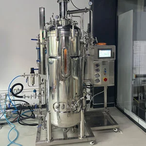 300L Automatic SIP Stainless Steel Fermenter