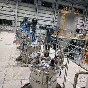 Industrial Scale Fermenter/Bioreactor