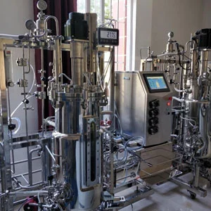 Lactobacillus Bioreactor Fermentor