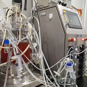 Mammalian Cell Glass Bioreactor