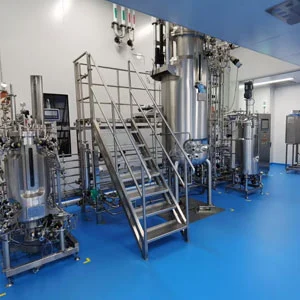 Multi-Stage Vaccine Fermenter (GMP)