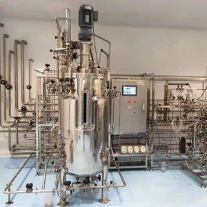 Stainless Steel Bioreactor (Mammlian Cell)