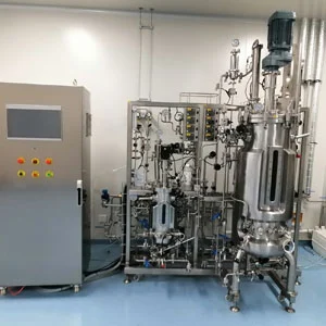 Two-Stage Multi-Stage Fermenter 10L-100L (Automatic SIP)