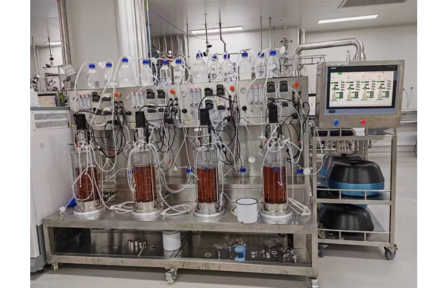 mini parallel bioreactor systems