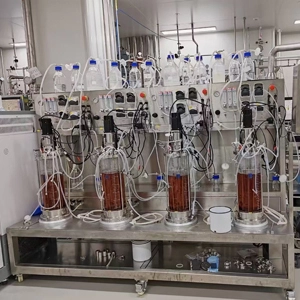 Parallel Glass Bioreactors