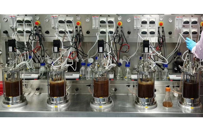 multi parallel bioreactor