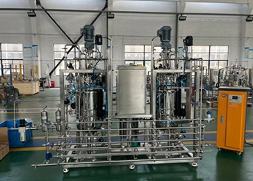 100L-100L Bioreactor Fermtner Turkey