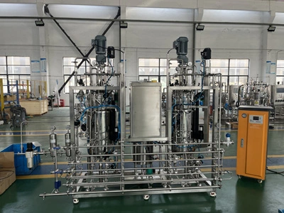 100L-100L Bioreactor Fermtner Turkey