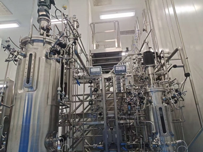 500L Bioreactor Fermtner