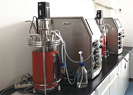 Glass Bioreactor