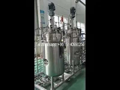 Multistage Bioreactor Fermenter