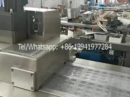 Blister Packing Machine 1