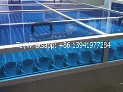 Suppository Filling And Sealing Machine Production Line 3