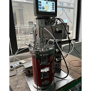 Bacteria Glass Bioreactor