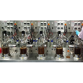 Cell Glass Bioreactor