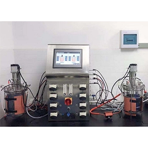 Mechanical Mixing Mini Bioreactor