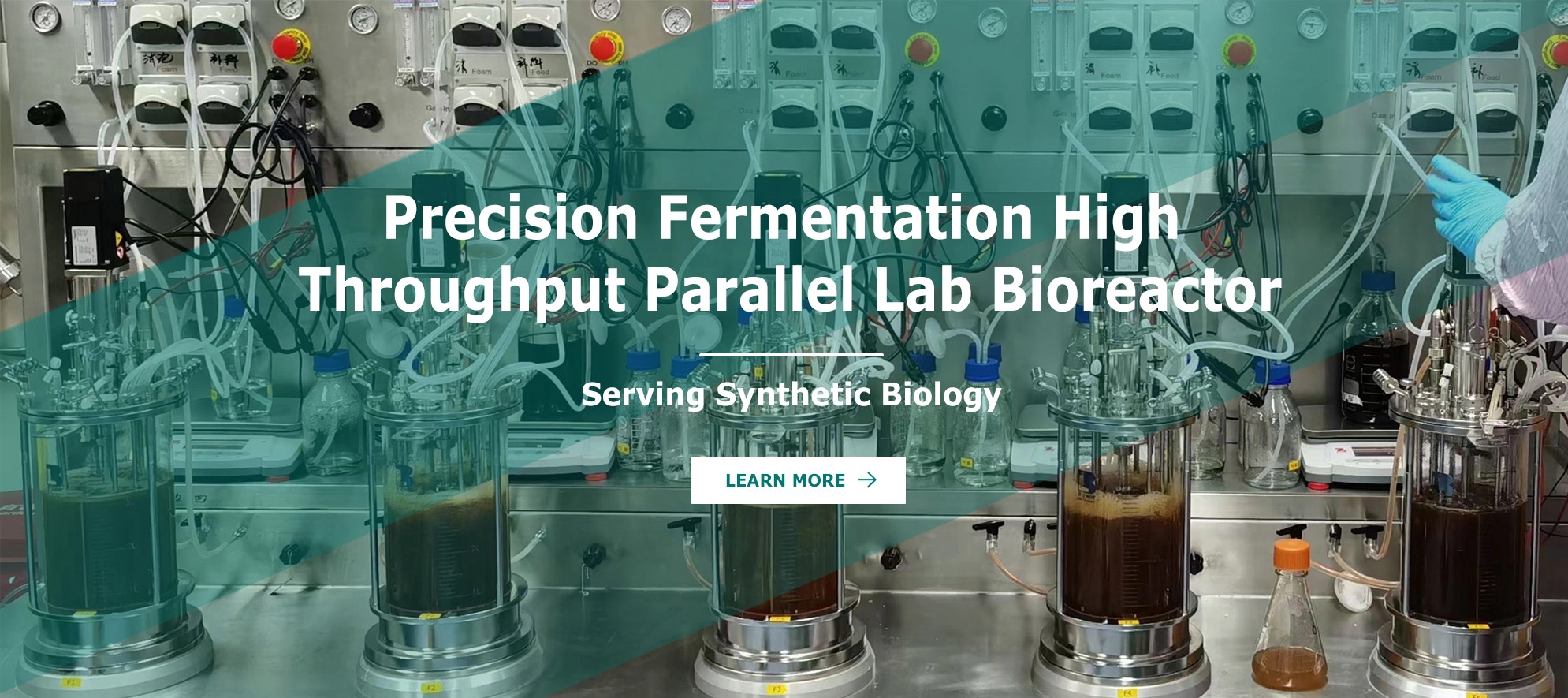 Precision Fermentation High Throughput Parallel Lab Bioreactor, Serving Synthetic Biology