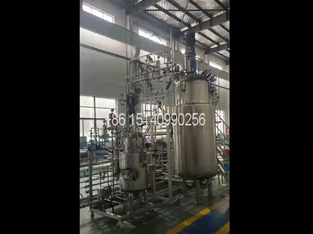 100L-1000L two stages bioreactors fermenters