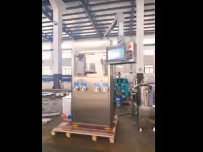 ZP21 Fish Salt tablet press machine