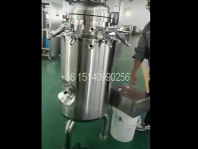 Customized automatic cover lift device 100L bioreactor fermenter with insulation